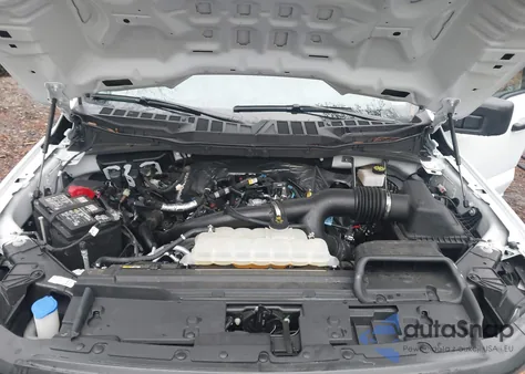 2024 Ford F-150 Xl z USA, uszkodzony, nr VIN 1FTMF1KP4RKF64736